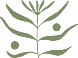 Salora